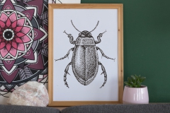 Portfolio_Dotwork_Bug2