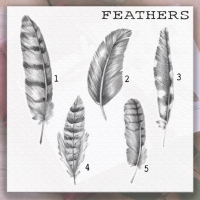 Feathers_Post