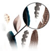 Illustratie poster A4 veren detail