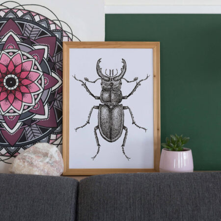 Illustratie poster A4 insect